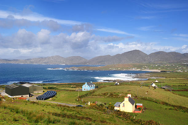 istock Dairy Farm, Southern Ireland 175211675