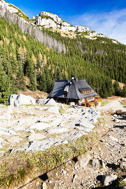 istock Tatra Mountains Hala Kondratowa. Poland 175211810