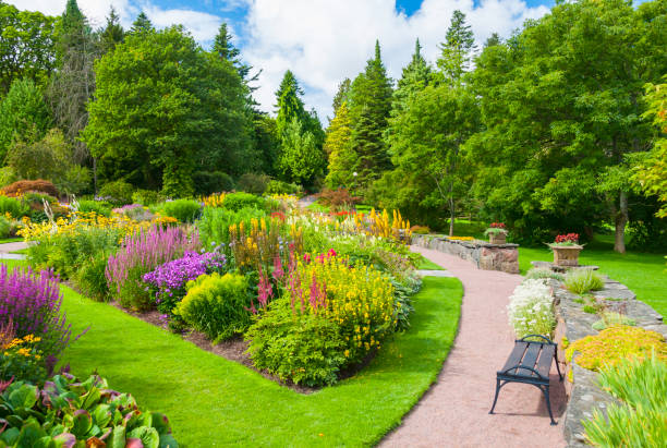 贅沢なサマーガーデンでは、生き生きとした大胆な色 - formal garden garden path bench flower ストックフォトと画像