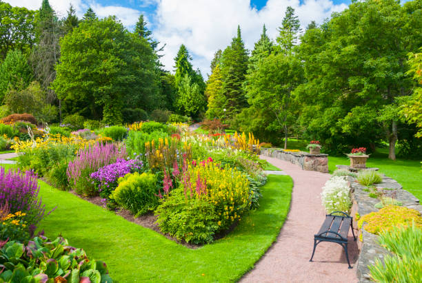 istock Lavish summer garden with vibrant and bold colors 175211912