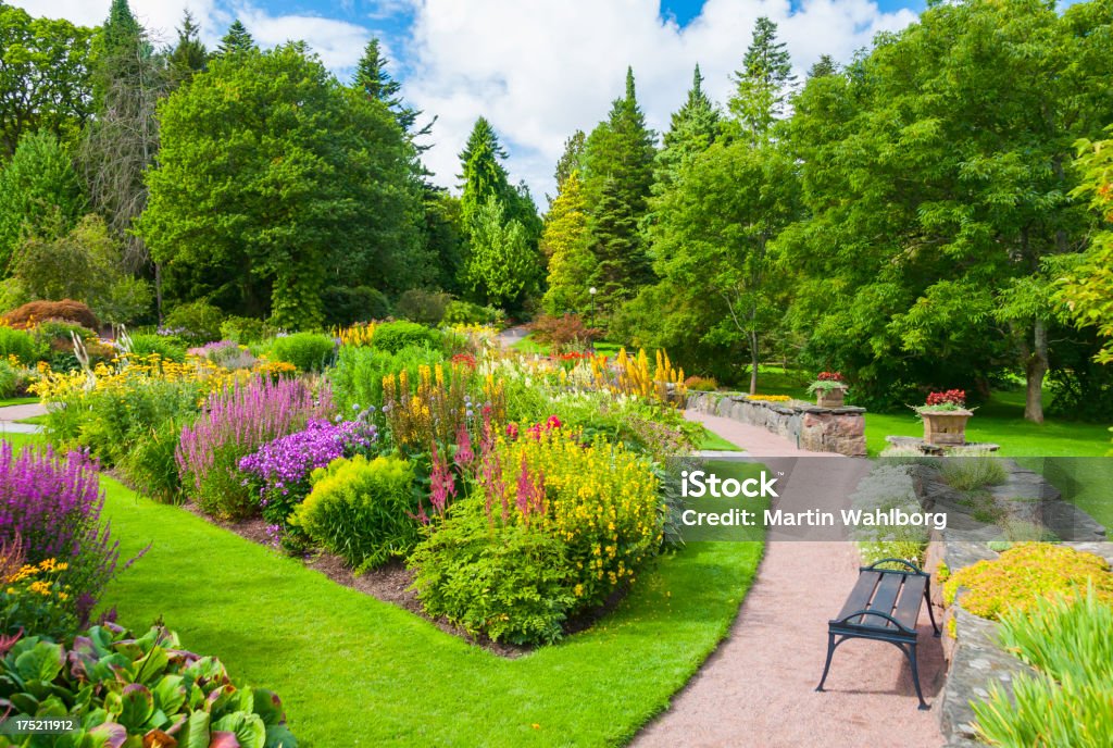 Lavish summer garden with vibrant and bold colors Lush summer Garden. Tree Stock Photo