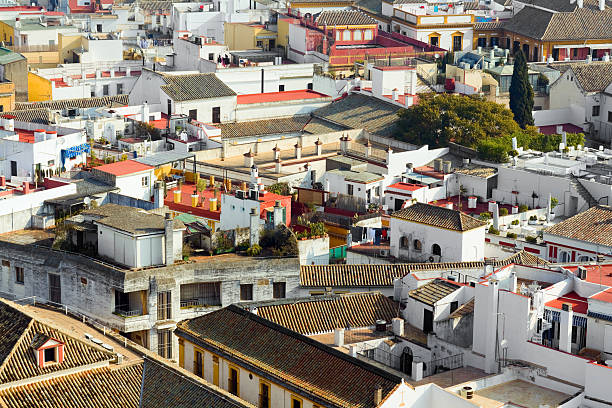 istock Aerial view of old center Sevillas 175211994