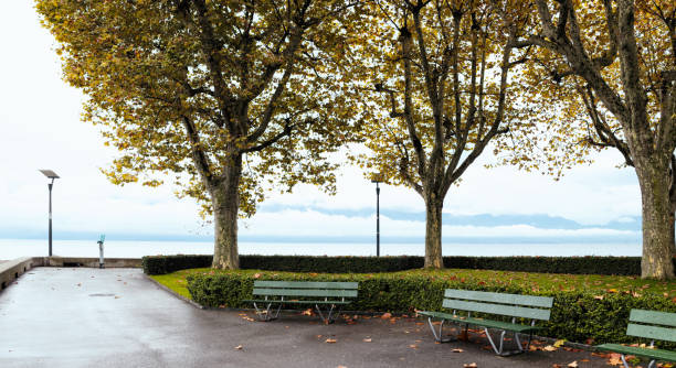 Panoramic view of a Swiss lakeside park on a rainy Autumn day.