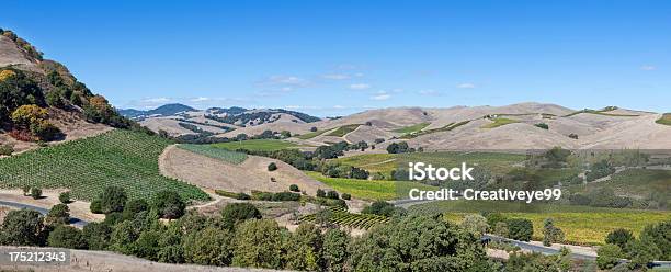 Napa Valley Panorama - zdjęcia stockowe i więcej obrazów Winnica - Winnica, Wzgórze, Napa Valley