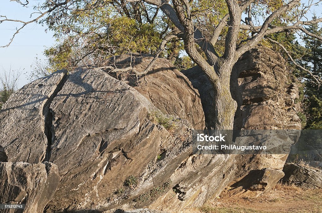 Árvore crescendo entre formações rochosas em Kansas - Foto de stock de Arcaico royalty-free