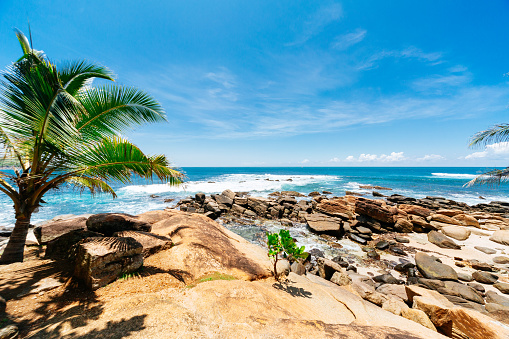 A tropical beach with palm trees and rocks. The palm trees are tall and thin with green fronds. The rocks are large and jagged, and they are scattered along the shore. The ocean is visible in the background, and it is a deep blue color. The sky is blue with white clouds.
