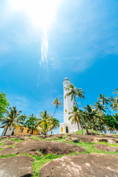 istock White Lighthouse with Palm Trees around it. Blue sky is in the background. 1752128425