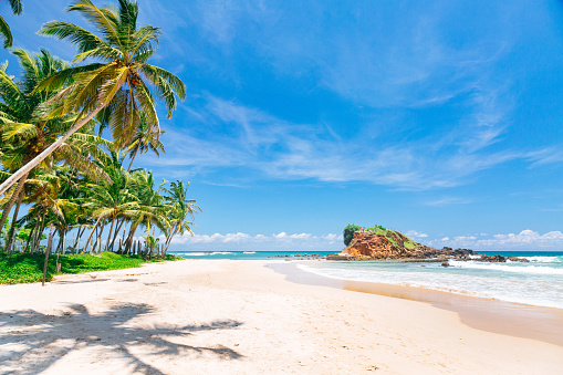 A tropical beach with palm trees and a rocky outcropping in the background. The beach is sandy and the water is a beautiful blue-green color. The sky is a bright blue with a few clouds. The palm trees are tall and green, and they are leaning towards the water. The rocky outcropping is a reddish-brown color and is covered in greenery.