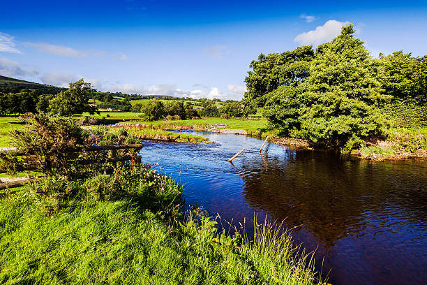 A long exposure of lush green plants and trees growing along the river bank at Ashford-in-the-water in the Peak District National park.