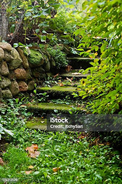 オールドストーンのステップ - 庭の通路のストックフォトや画像を多数ご用意 - 庭の通路, 石, 石材