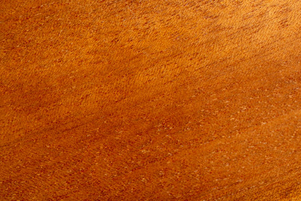 istock close-up of a piece of solid mahogany 1752134070