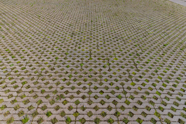 a tile with grass growing in it, a modern concrete tile that allows plants to grow
