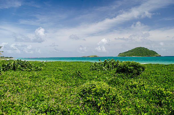 Maria Islands Vieux Fort St Lucia; lush beach scenery with distant island