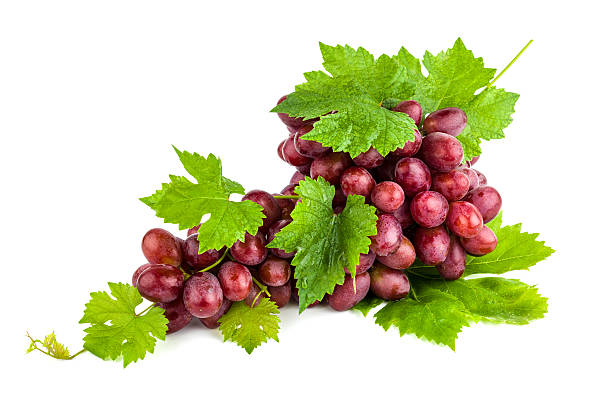 istock Bunch of grapes isolated on white 175213710