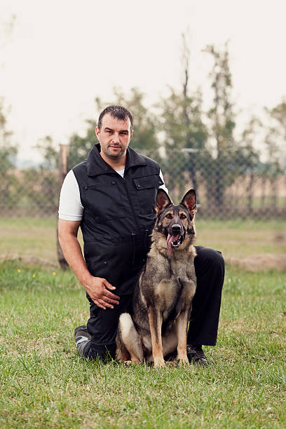 Dog Dog police dog handler stock pictures, royalty-free photos & images