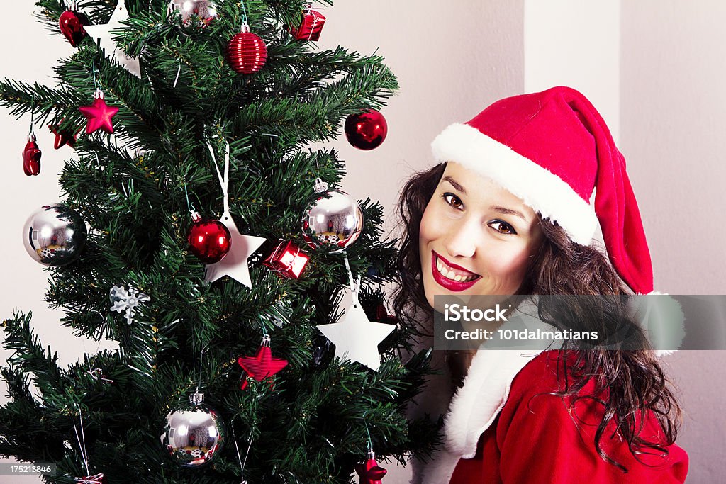 Feliz e bonito Mrs.Claus - Royalty-free 2013 Foto de stock