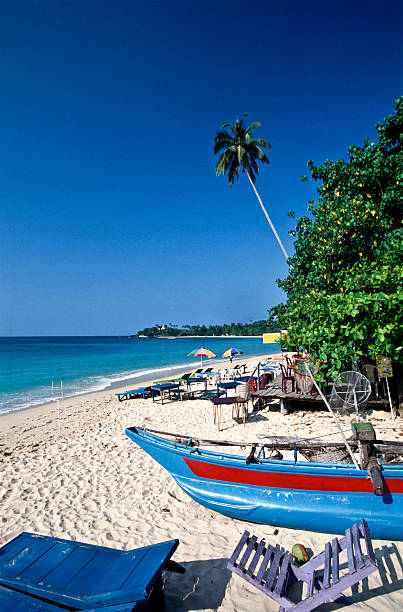 istock Sri Lanka, Unawatuna Beach, coconut palms. 175213926