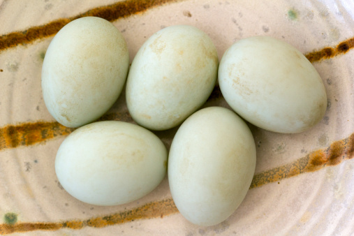 Five fresh free range duck eggs in a bowl. Shallow depth of field.