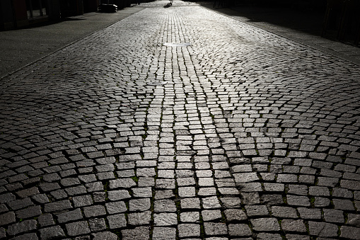 Cobblestone road in a moody light, shallow depth of field.