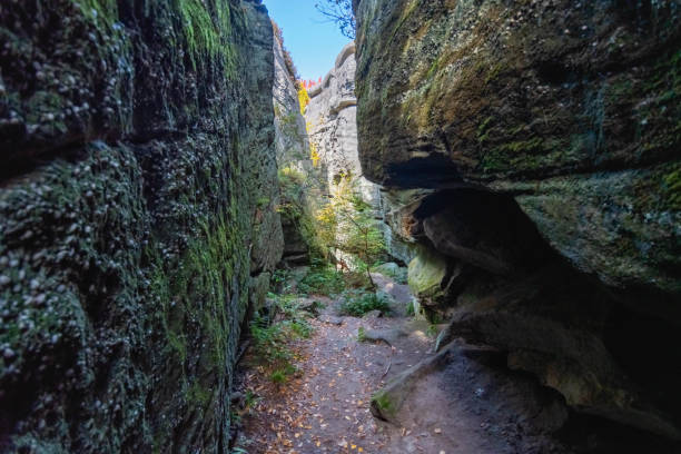istock rock city park, olean , NY, fall season forest, gigantic rock formations 1752140946