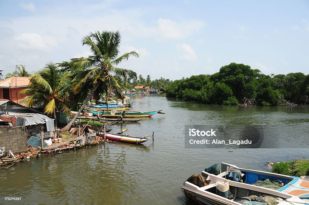 Negombo, Sri Lanka. - Zbiór zdjęć royalty-free (Negombo)