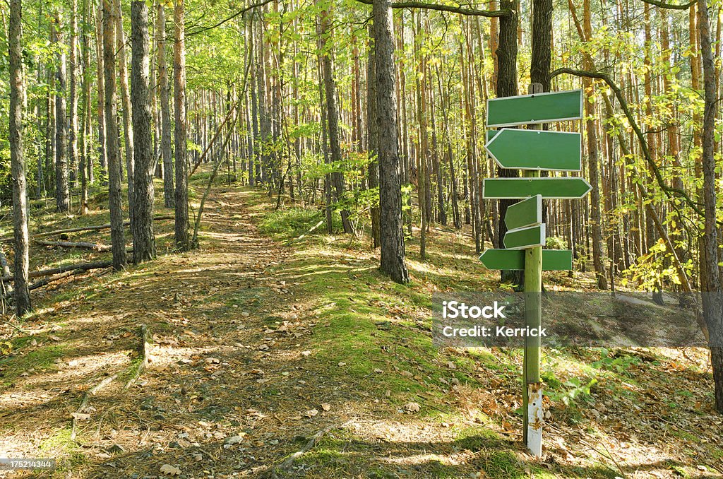 Wandern-im Wald - Lizenzfrei Wegmarkierung - Hergestellter Gegenstand Stock-Foto