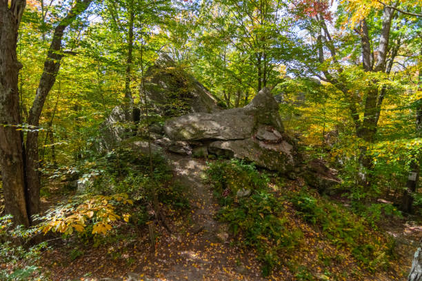 istock rock city park, olean , NY, fall season forest, gigantic rock formations 1752143797