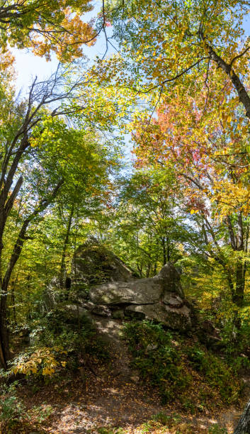 istock rock city park, olean , NY, fall season forest, gigantic rock formations 1752144898