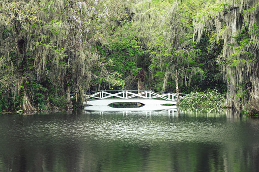 White bridge over a pond in South Carolina, USA
