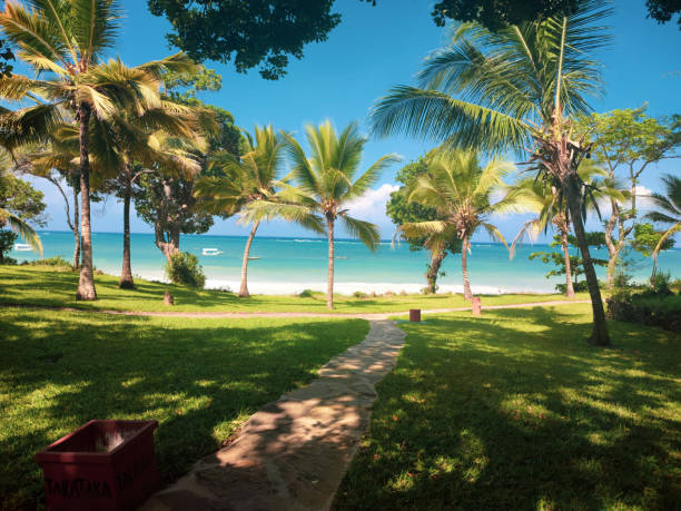 istock Palm Trees along the coast 1752145797