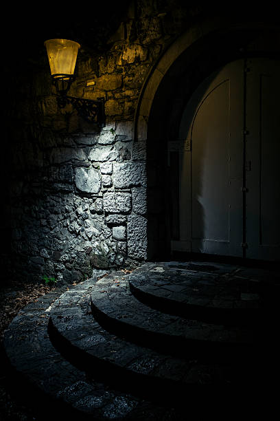istock Old entrance with stone stairs 175214711