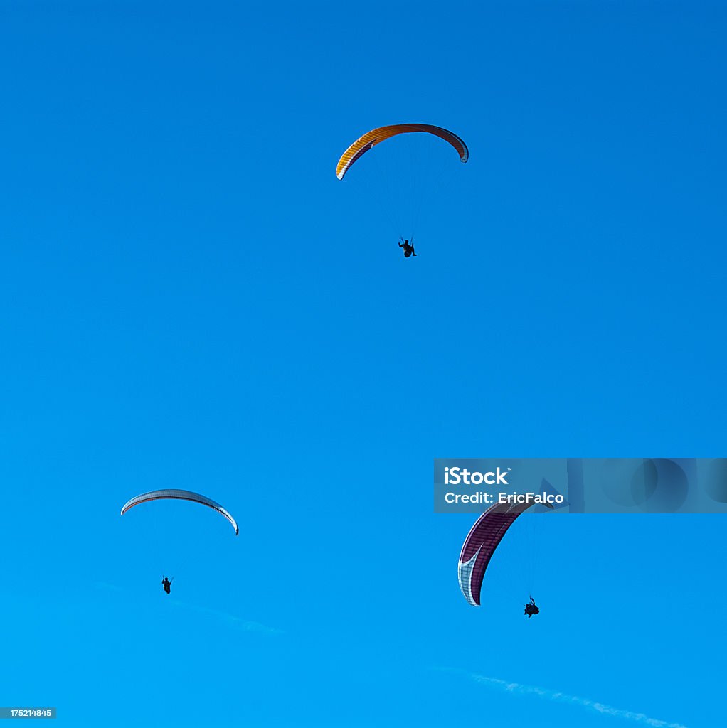 Skydivers amigos - Royalty-free Azul Foto de stock