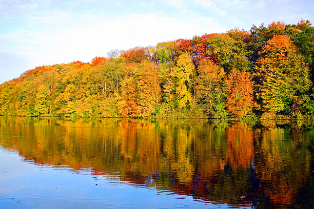 istock Indian summer at Ruhr 175215135