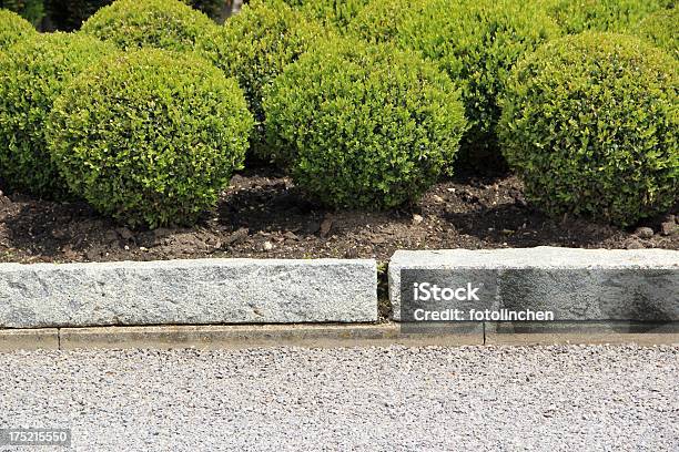 Gardendesign Stockfoto und mehr Bilder von Hausgarten - Hausgarten, Schottergestein, Buchsbaum