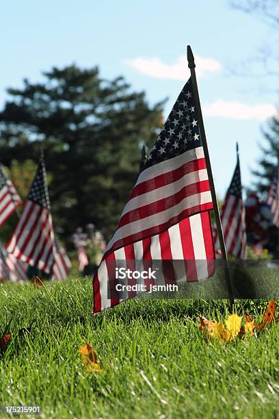 Weteran Flags Na Cmentarzamerica Zdefiniowane - zdjęcia stockowe i więcej obrazów 4-go lipca - 4-go lipca, Amerykańska flaga, Autorytet