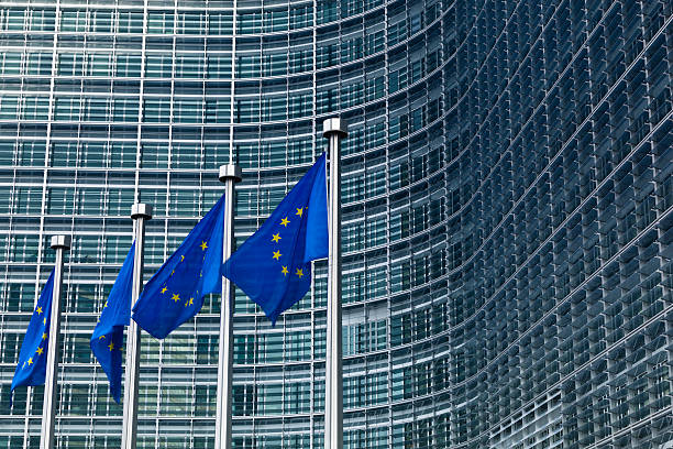 ﾀｯｷｴ 포석 벨기에 브뤼셀에서 - europe european union currency euro symbol european union flag 뉴스 사진 이미지