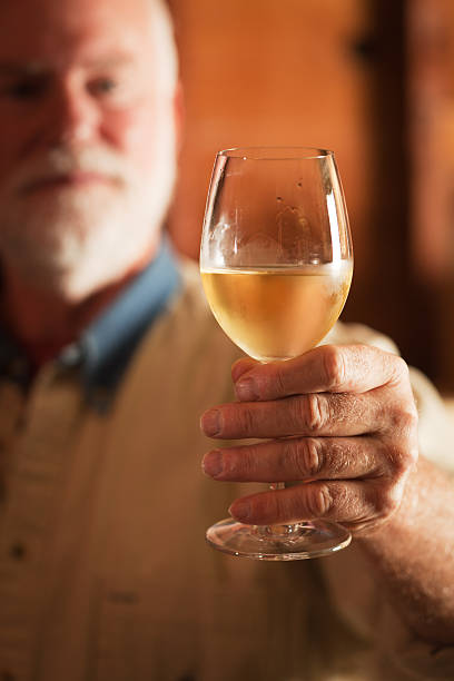 istock Man with White Wine in a Tasting Vt 175216109