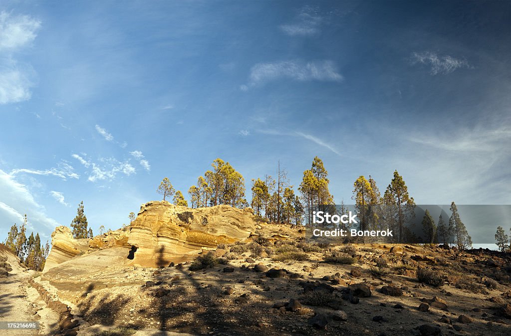 Paisaje lunare - Foto stock royalty-free di Albero