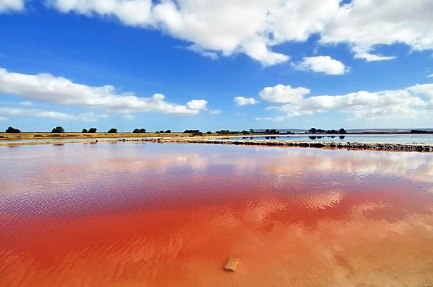 Red Veldrif Salt Pans Salt pans along the Berg River at Veldif, South Africa, shine red in the sunlight due to a micro-algae known as Dunaliella salina which has been used in dietary supplements due to its antioxidant capability, red algae stock pictures, royalty-free photos & images