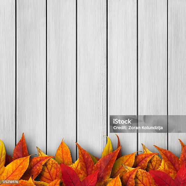 Foglie Su Sfondo In Legno - Fotografie stock e altre immagini di Ringraziamento - Ringraziamento, Sfondi, Arancione