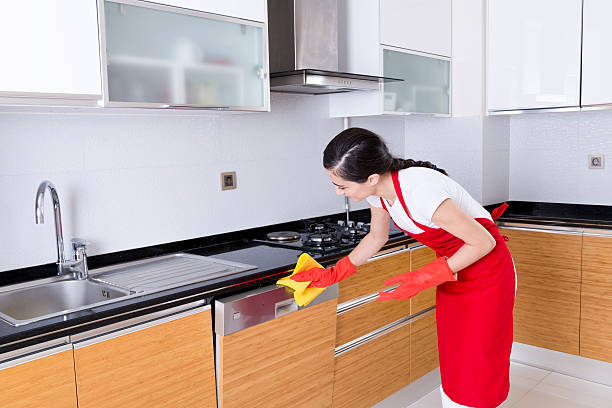 istock Woman Cleaning Dishwasher 175217308