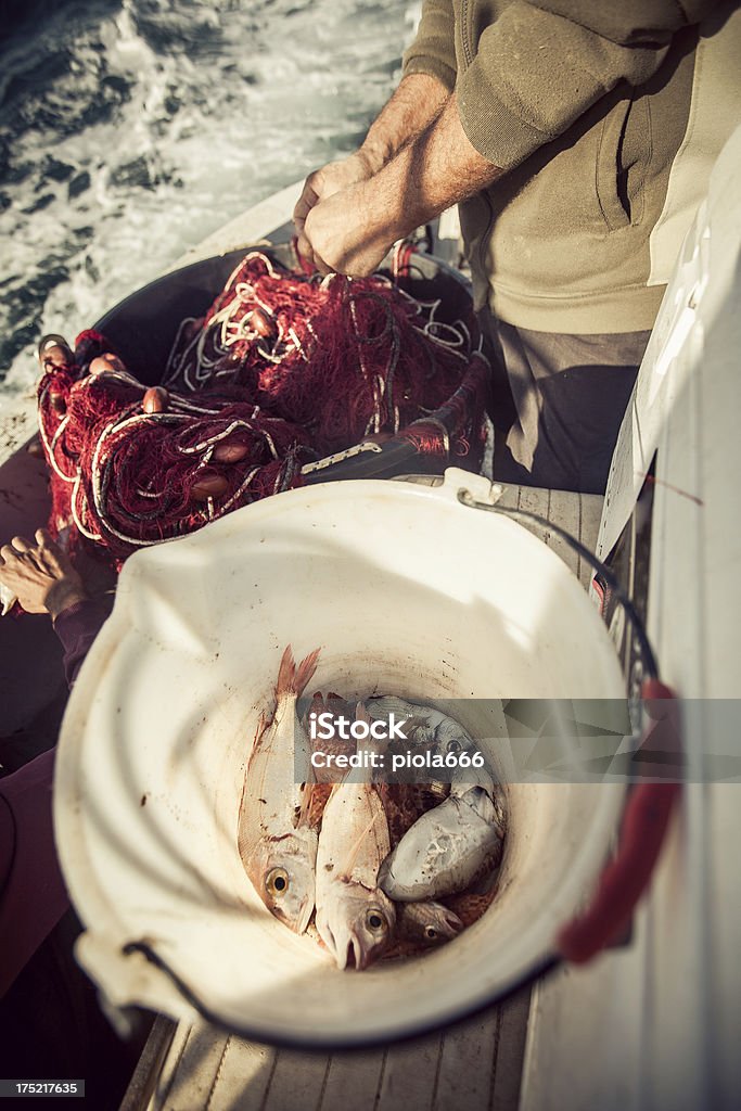 Рыбаки на работе и уборка в сети - Стоковые фото Италия роялти-фри