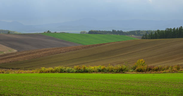 istock Rural scenery in Biei, Hokkaido, Japan 1752178087