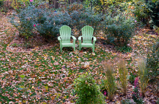 Garden covered in leaves in the fall. More fall images:
