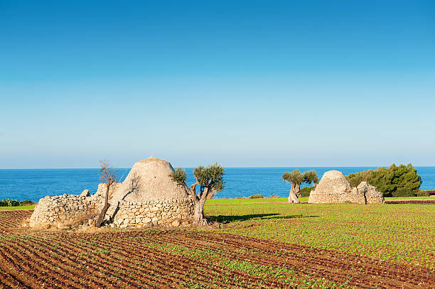 Apulia, Southern Italy "Apulia, adriatic sea near Polignano a mare (Bari) and old trulli house. Puglia, the stretch of coast between Cozze and Polignano a mare (Bari), with old trulli." trulli house photos stock pictures, royalty-free photos & images