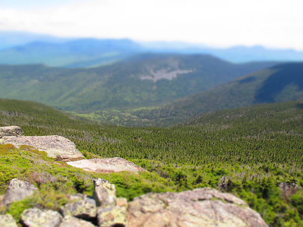 istock Tiltshift-esque View East from the Summit of South Twin Mountain 175218687