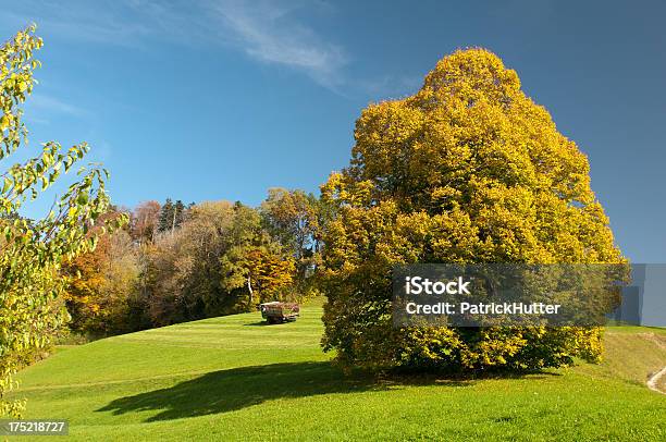Sternenberg 가을에 대한 스톡 사진 및 기타 이미지 - 가을, 가파른, 농업