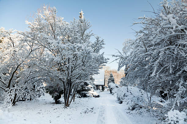 istock snowy dirt road leading to a house 175218904