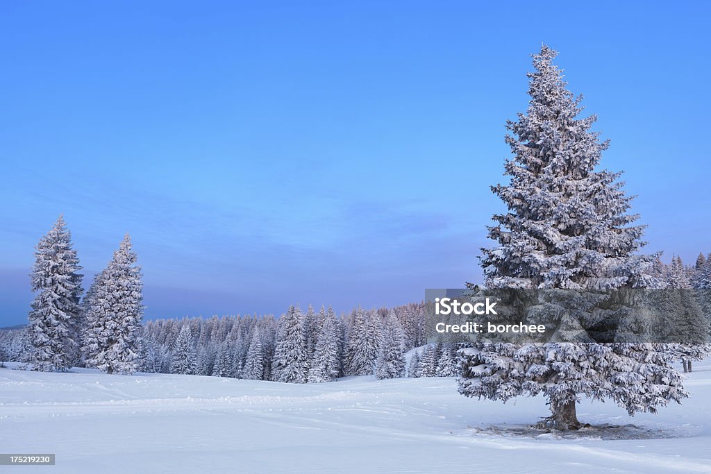 Paisagem de inverno - Foto de stock de Alpes europeus royalty-free
