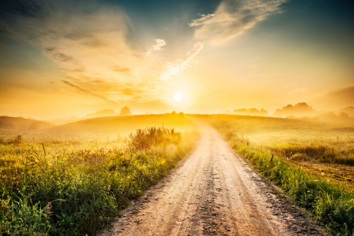 Contry Road Towards The Sun - Foggy Rolling Landscape 